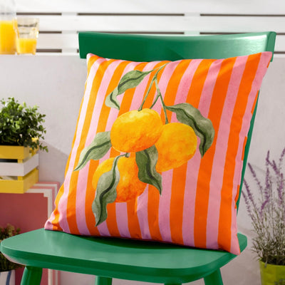 Orange Outdoors Cushion