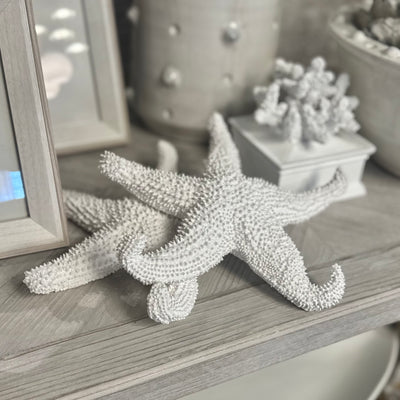 Decorative Starfish – White