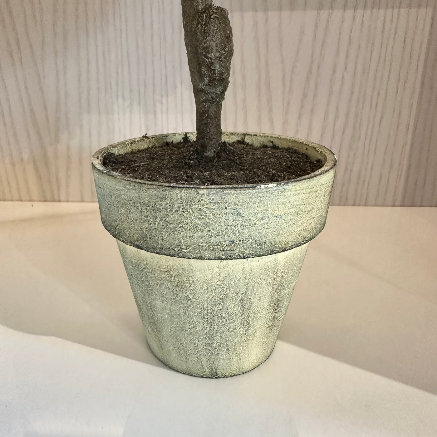 Faux Mini Boxwood