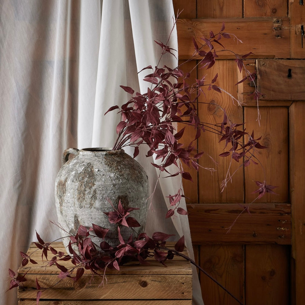 Ornamental Burgundy Leaf