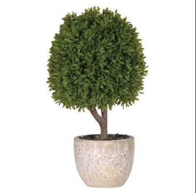 Faux Green Mini Boxwood Ball in Pot