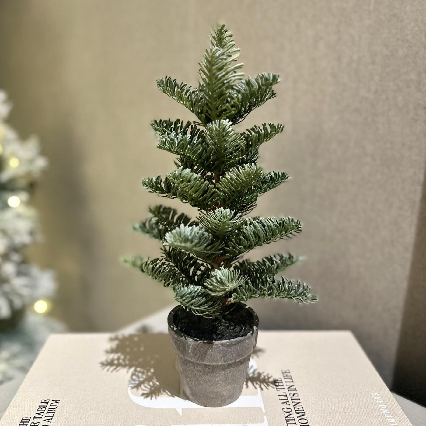 Mini Potted Nordic Spruce
