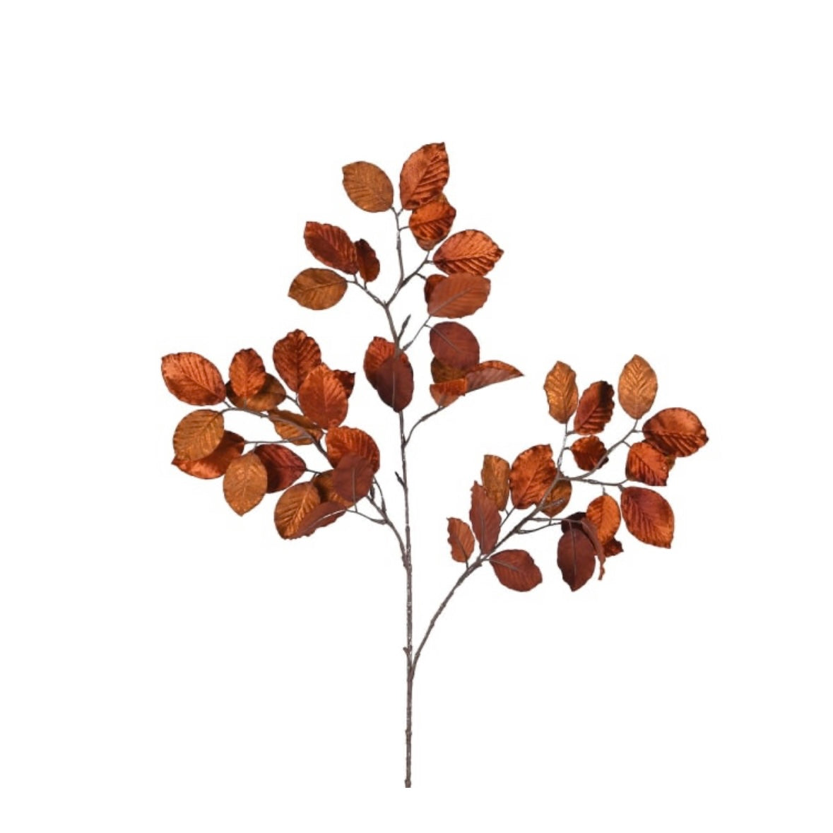 Velvet Beech Lvs Spray