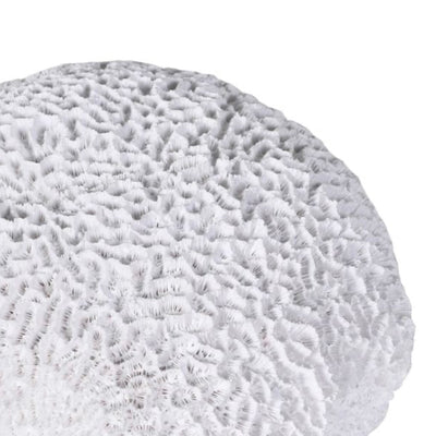 White Coral Decorative Accent