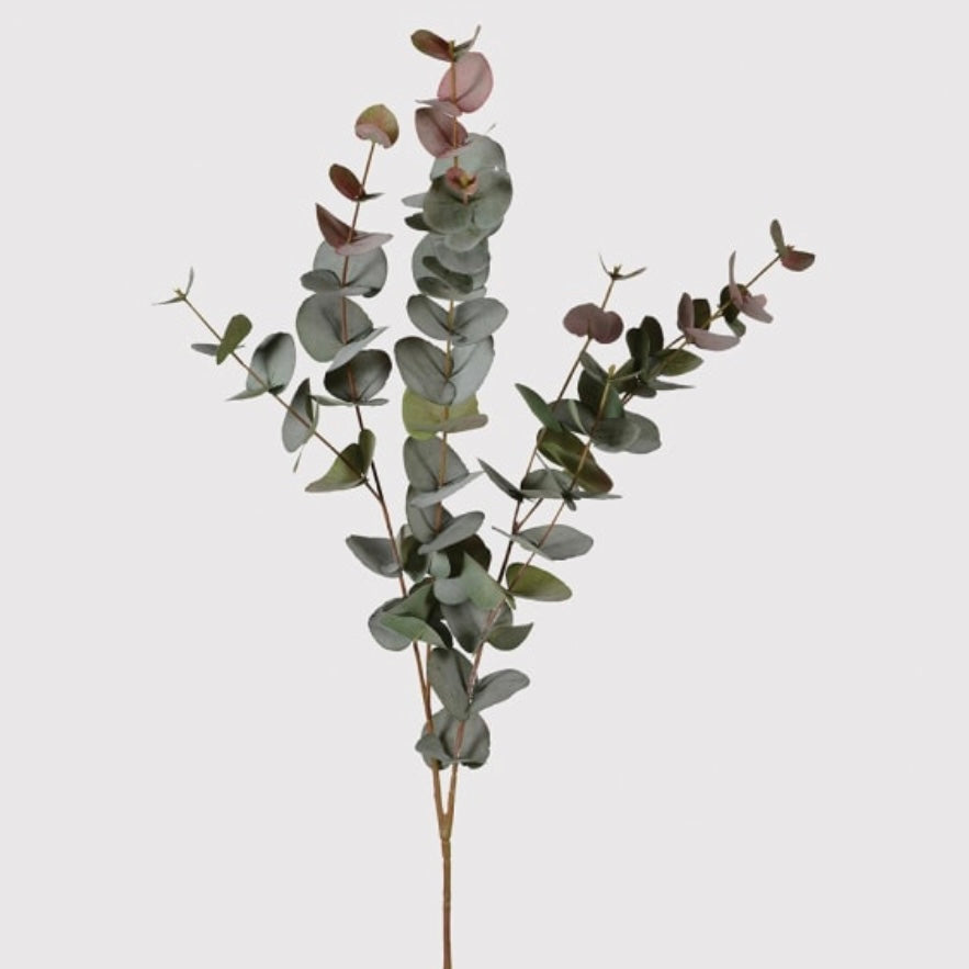 Large Natural Blush Eucalyptus Spray