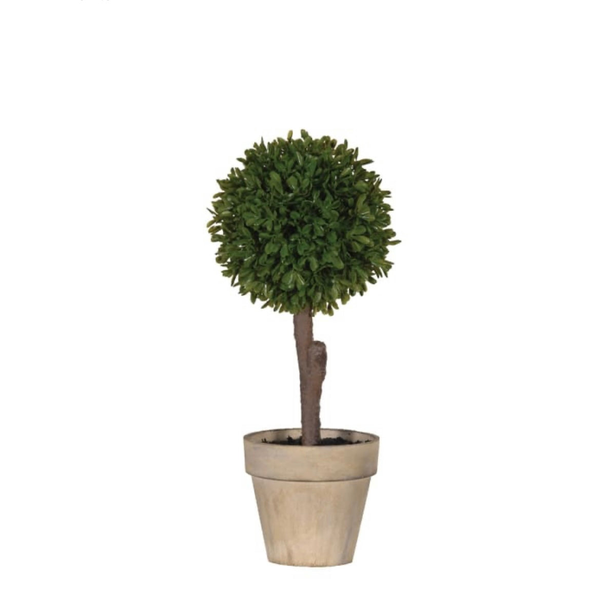 Faux Mini Boxwood