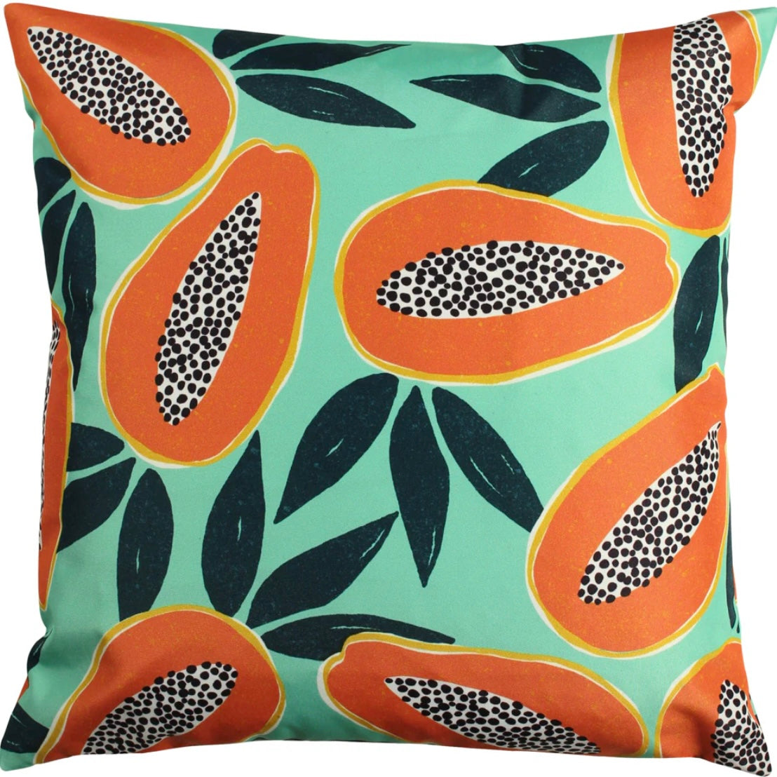 Papaya Outdoors Cushion