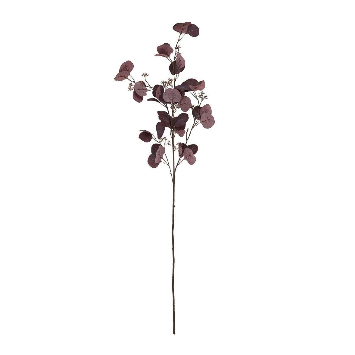 Burgundy Berried Eucalyptus