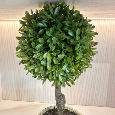 Faux Mini Boxwood