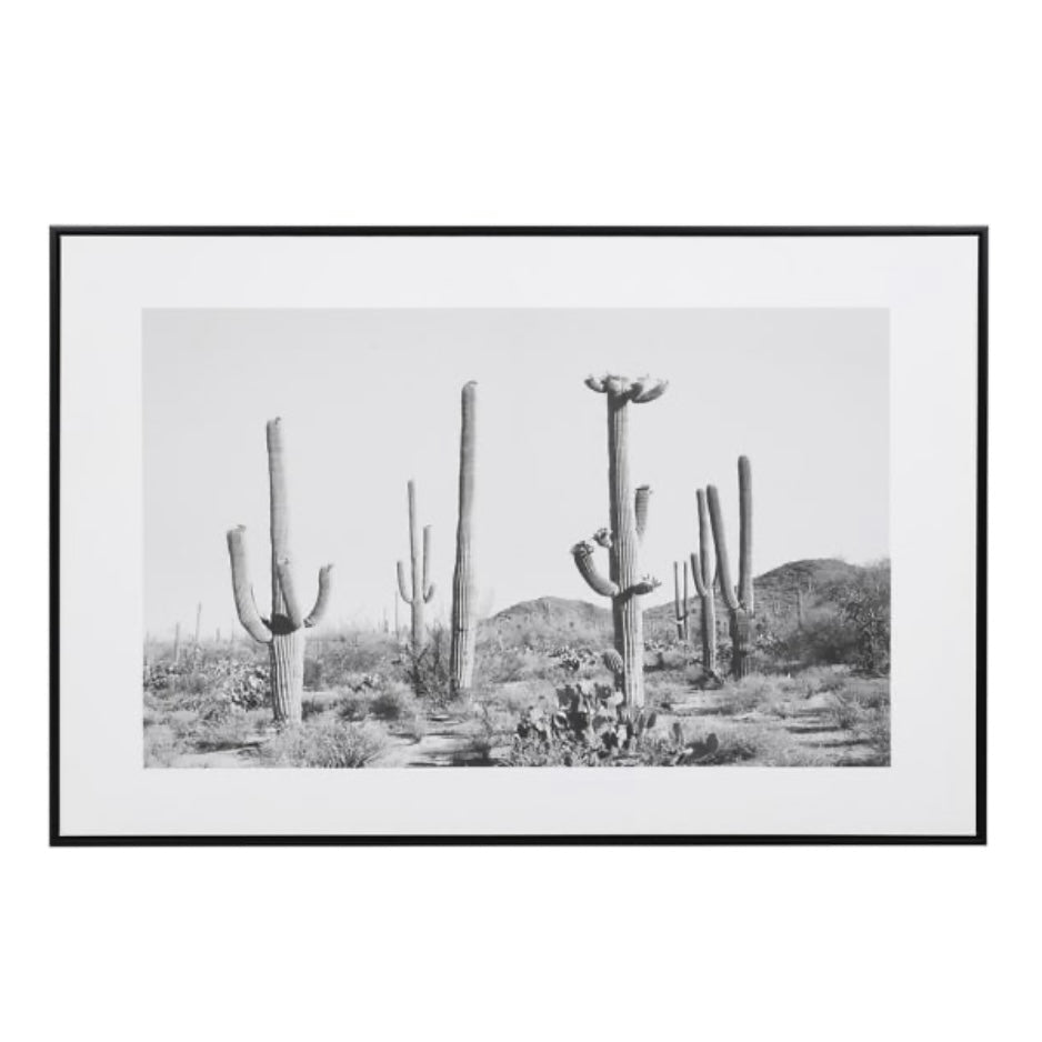 Wild West Cactus Picture