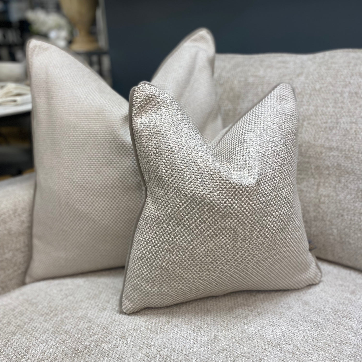 Anna Cream/Silver Cushion (3 sizes available)