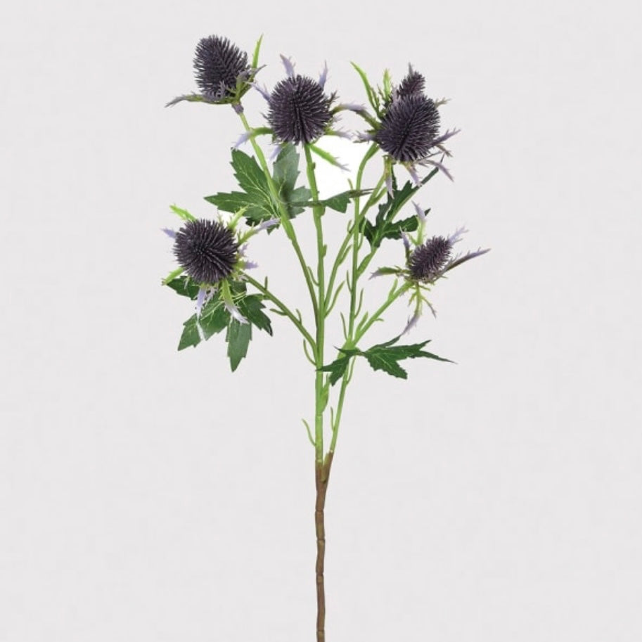 Eryngium Thistle Spray with Leaves