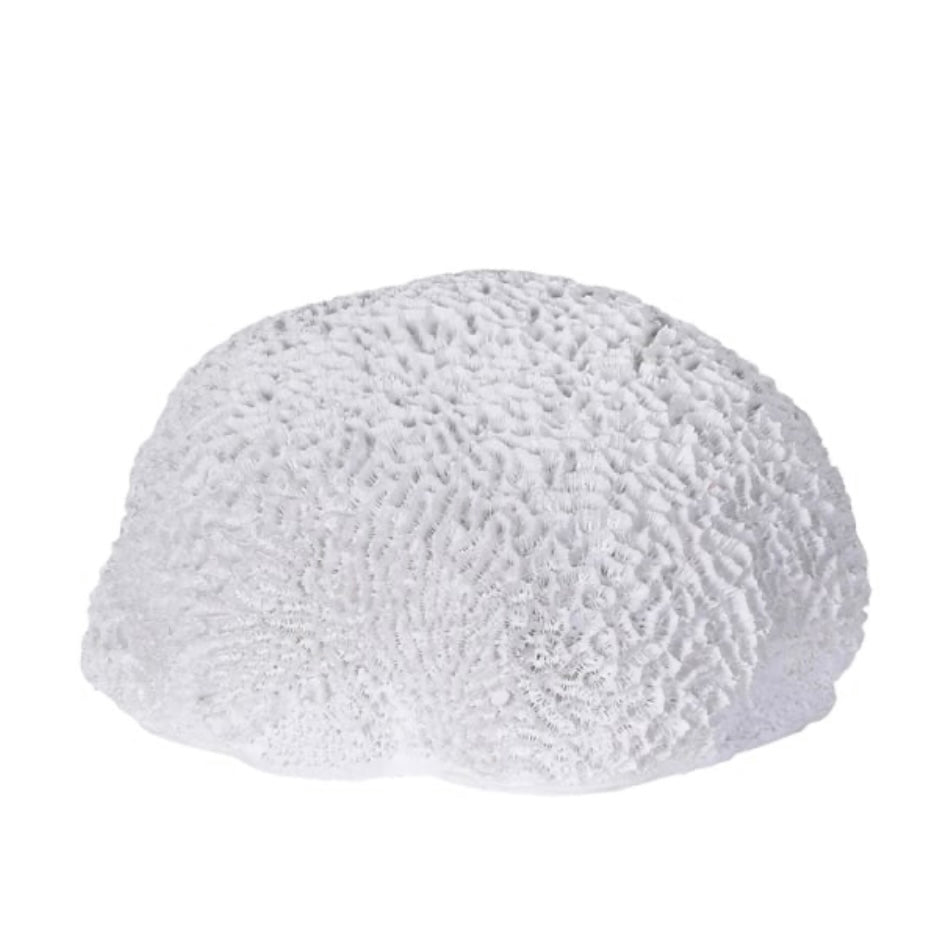 White Coral Decorative Accent