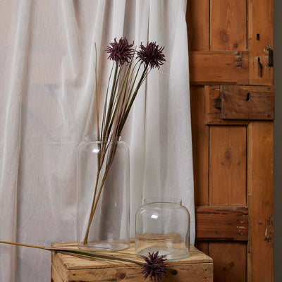 Burgundy Aster Spider Chrysanthemum Stem