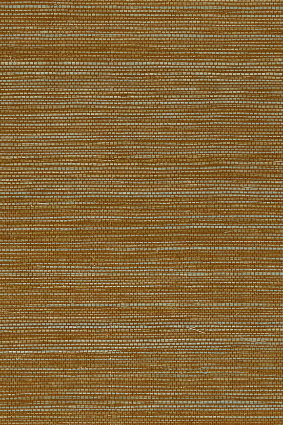 Marsh – Mangrove