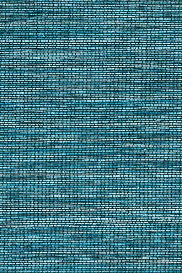 Marsh – Ocean