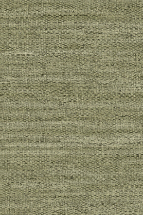 Lignes – Olive