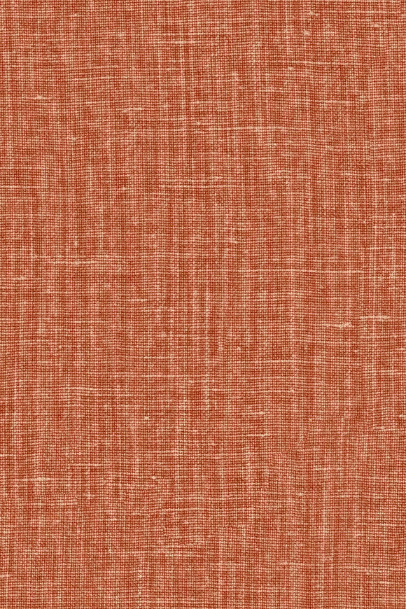 Gioco – Ginger