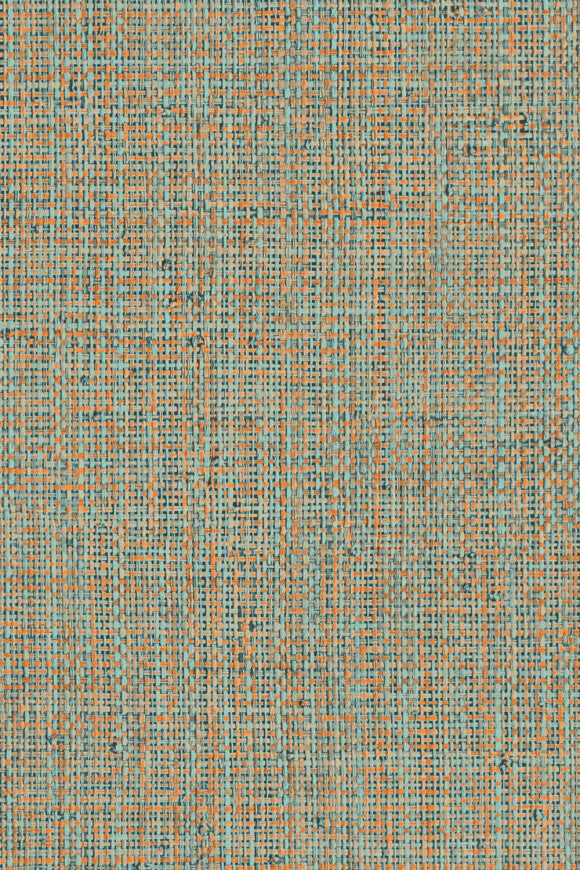 Nongo – Blue Orange