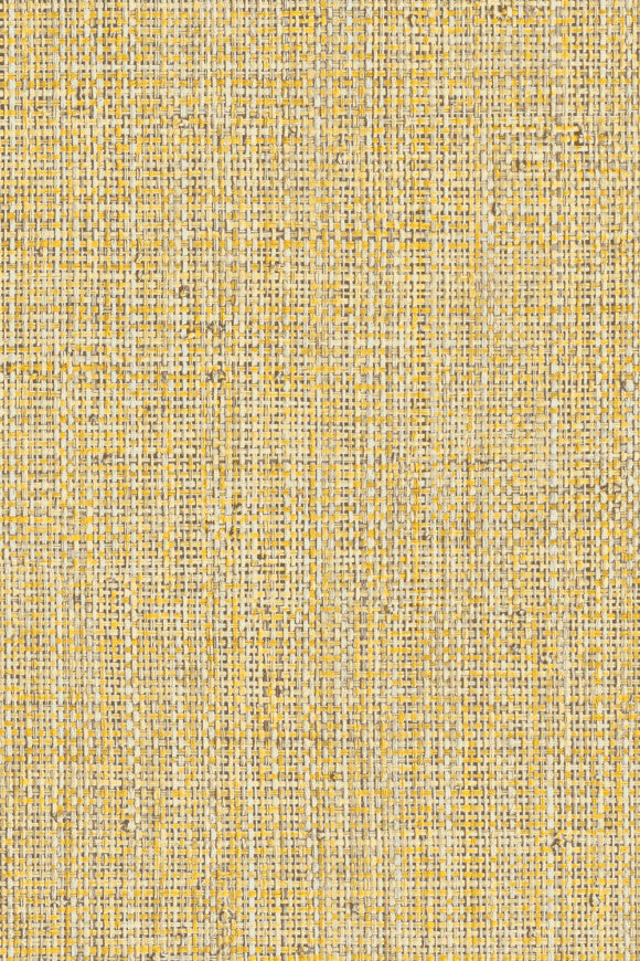 Nongo – Malt