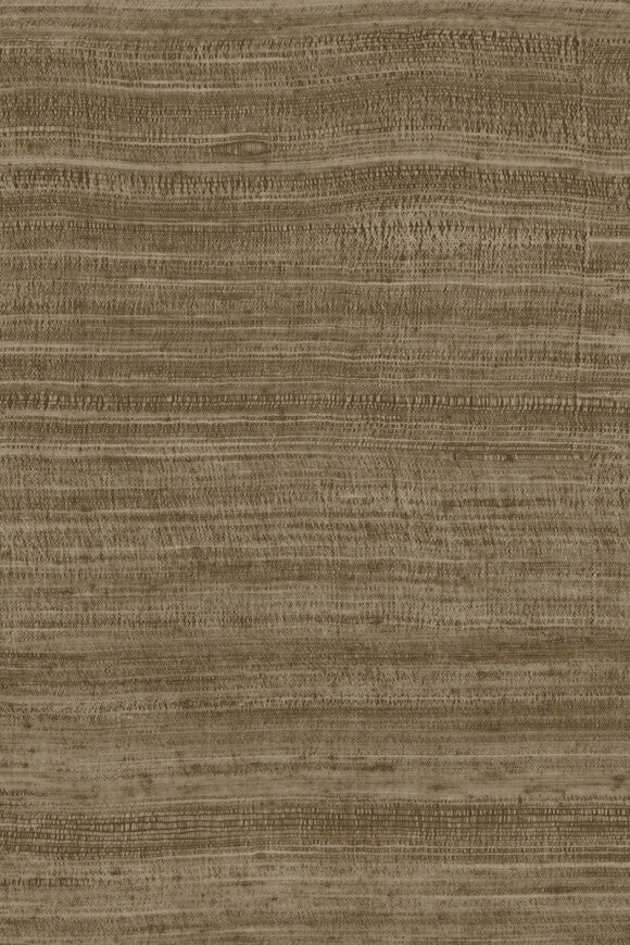 Tasar – Bronze