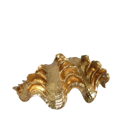 Gold Shell Decoration