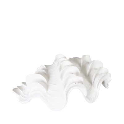 White Shell Decoration-2 Sizes Available