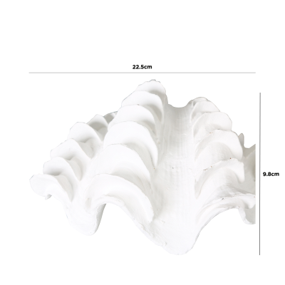 White Shell Decoration-2 Sizes Available