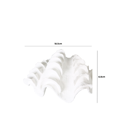 White Shell Decoration-2 Sizes Available