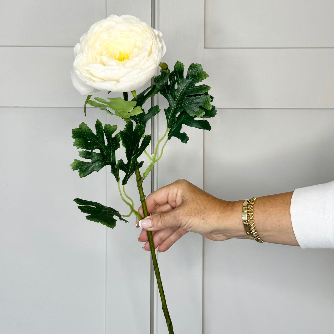 Tides Exclusive White Ranunculus Asiaticus