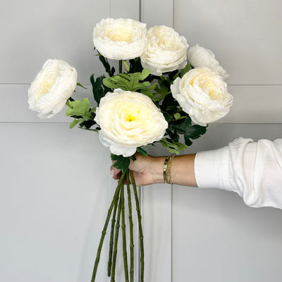 Tides Exclusive White Ranunculus Asiaticus