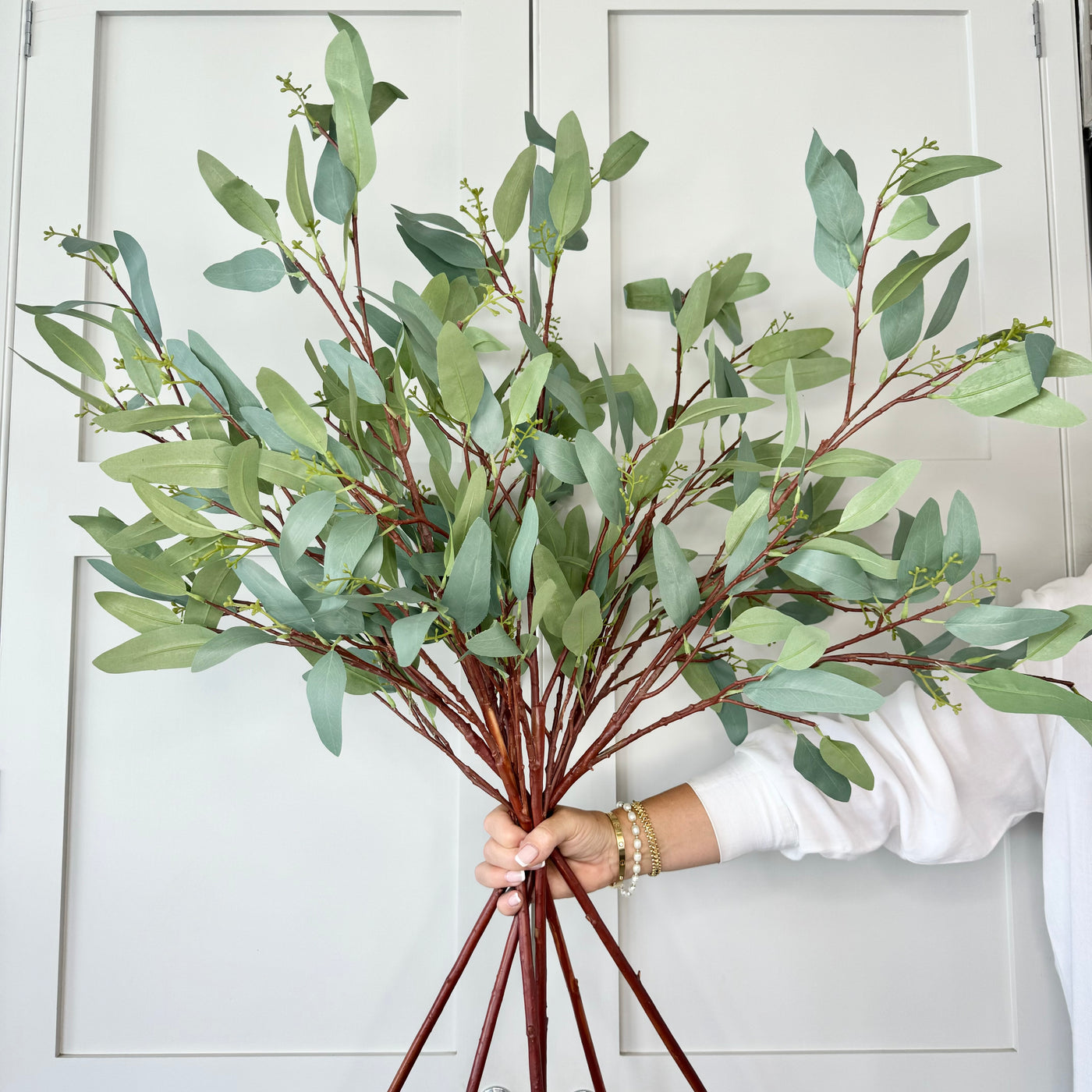 Eucalyptus Branch