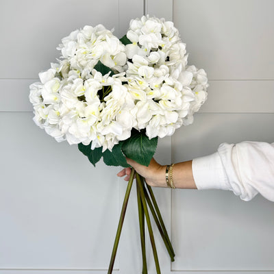 Tides Collection White Hydrangea Med