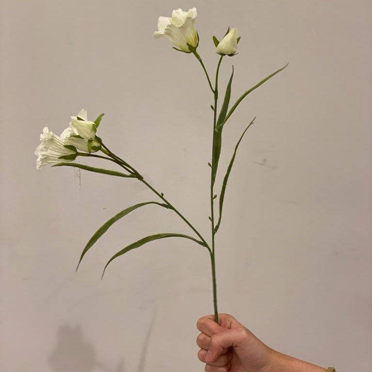 Cream Bell Flower