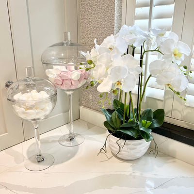 Tides Collection 6 Stem Short Orchid With White Dimple Bowl