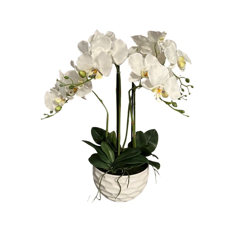 Tides Collection 6 Stem Short Orchid With White Dimple Bowl
